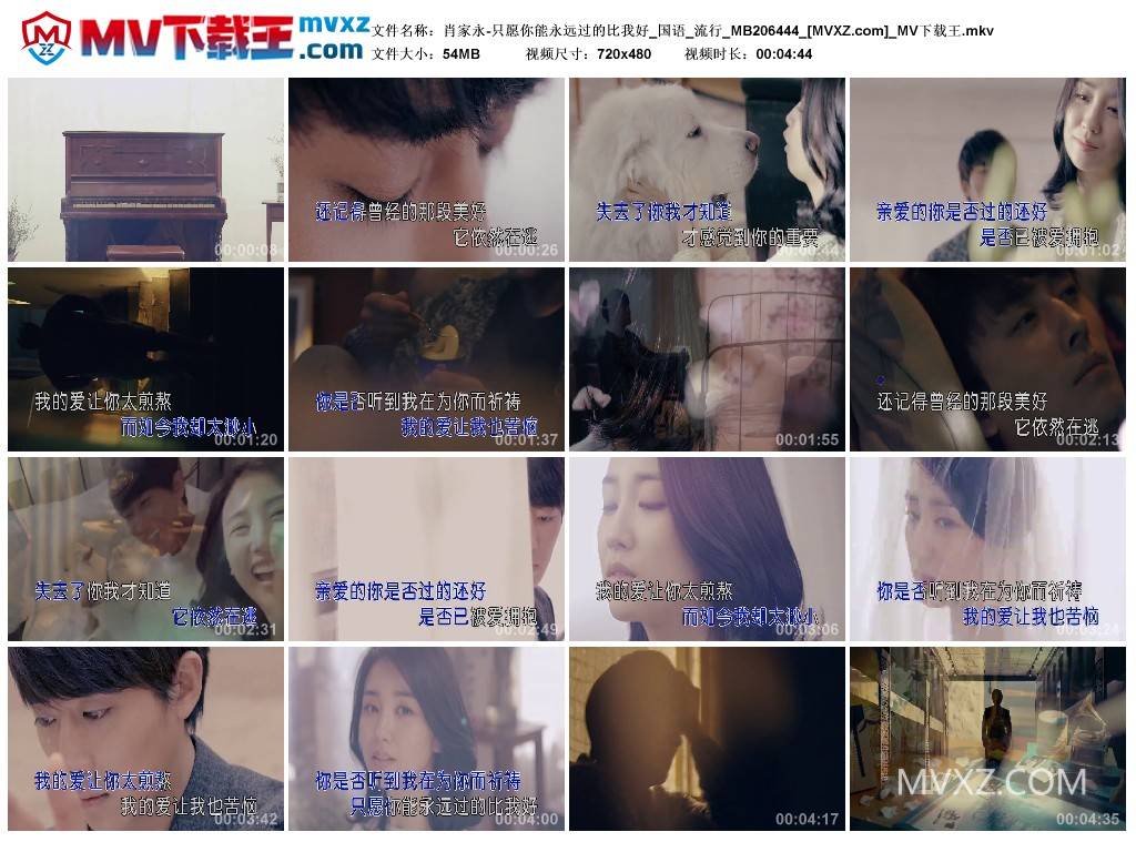 肖家永-只愿你能永远过的比我好_国语_流行_MB206444